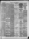 West Surrey Times Saturday 03 February 1877 Page 3