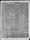 West Surrey Times Saturday 03 February 1877 Page 5