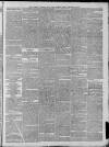 West Surrey Times Saturday 04 January 1879 Page 7