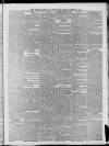 West Surrey Times Saturday 06 December 1879 Page 3