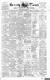 West Surrey Times Saturday 17 July 1886 Page 1