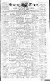 West Surrey Times Saturday 16 October 1886 Page 1