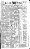 West Surrey Times Saturday 14 May 1887 Page 1