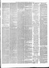 Brighton Guardian Wednesday 28 February 1877 Page 7