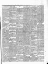 Roscommon & Leitrim Gazette Saturday 09 April 1864 Page 3