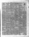 Roscommon & Leitrim Gazette Saturday 01 April 1865 Page 3
