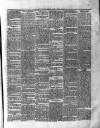 Roscommon & Leitrim Gazette Saturday 08 April 1865 Page 3
