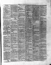 Roscommon & Leitrim Gazette Saturday 22 April 1865 Page 3