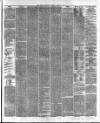 Cork Constitution Tuesday 25 August 1874 Page 3