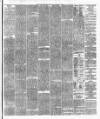 Cork Constitution Friday 28 August 1874 Page 3