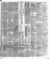 Cork Constitution Tuesday 16 March 1875 Page 3