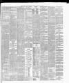 Cork Constitution Friday 16 February 1877 Page 3