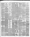 Cork Constitution Friday 23 March 1877 Page 3