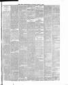 Cork Constitution Saturday 19 March 1887 Page 5