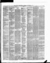 Cork Constitution Saturday 19 November 1887 Page 2