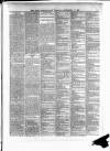 Cork Constitution Tuesday 17 September 1889 Page 3