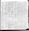Cork Constitution Saturday 19 January 1895 Page 3