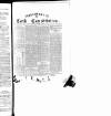 Cork Constitution Saturday 21 November 1896 Page 8