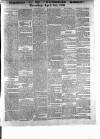 Waterford Mirror and Tramore Visitor Thursday 21 April 1892 Page 5