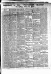 Waterford Mirror and Tramore Visitor Thursday 07 July 1892 Page 5