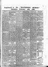 Waterford Mirror and Tramore Visitor Thursday 15 February 1894 Page 5