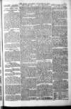 Globe Saturday 13 November 1880 Page 5