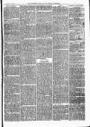 Dartmouth & South Hams chronicle Friday 13 January 1871 Page 3