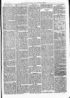 Dartmouth & South Hams chronicle Friday 20 January 1871 Page 3