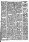 Dartmouth & South Hams chronicle Friday 10 November 1871 Page 3