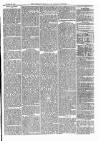 Dartmouth & South Hams chronicle Friday 24 November 1871 Page 3
