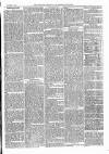 Dartmouth & South Hams chronicle Friday 08 December 1871 Page 3