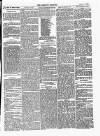 Dartmouth & South Hams chronicle Friday 17 January 1873 Page 3