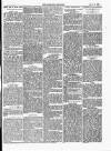 Dartmouth & South Hams chronicle Friday 24 January 1873 Page 3