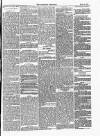 Dartmouth & South Hams chronicle Friday 21 March 1873 Page 3