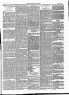 Dartmouth & South Hams chronicle Friday 16 May 1873 Page 3