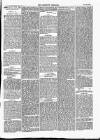 Dartmouth & South Hams chronicle Friday 13 June 1873 Page 3