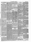 Dartmouth & South Hams chronicle Friday 07 November 1873 Page 3