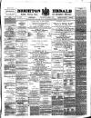 Brighton Herald Saturday 01 March 1873 Page 1
