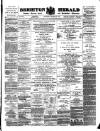 Brighton Herald Saturday 22 March 1873 Page 1