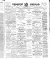 Brighton Herald Saturday 17 February 1877 Page 1