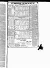 Brighton Herald Saturday 30 June 1877 Page 5