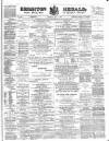 Brighton Herald Saturday 07 July 1877 Page 1