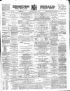 Brighton Herald Saturday 04 August 1877 Page 1