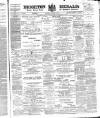Brighton Herald Saturday 27 October 1877 Page 1
