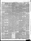 Brighton Herald Saturday 19 February 1881 Page 3