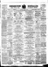 Brighton Herald Saturday 29 October 1881 Page 1