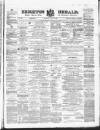 Brighton Herald Saturday 21 March 1885 Page 1
