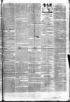 Tyne Mercury; Northumberland and Durham and Cumberland Gazette Tuesday 29 January 1805 Page 3