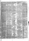 Tyne Mercury; Northumberland and Durham and Cumberland Gazette Tuesday 02 July 1805 Page 3