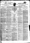 Tyne Mercury; Northumberland and Durham and Cumberland Gazette Tuesday 21 January 1806 Page 1